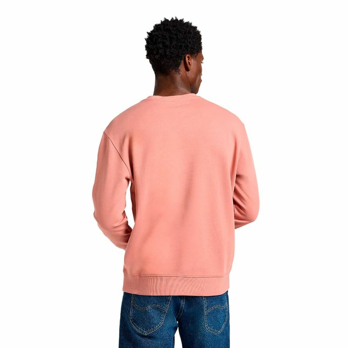 V3H0C3719023CFDD2D9225022DFF87D6490R6110447P2